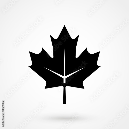 maple leaf icon