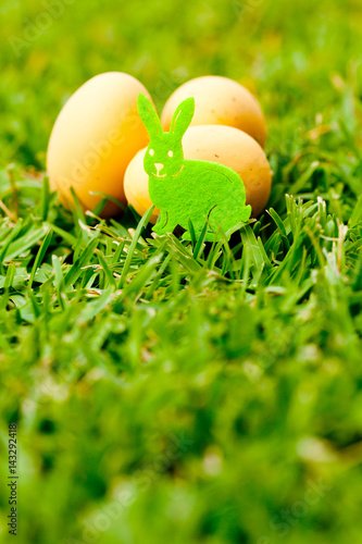 Easter - Bunny and eggs on natural grass background
