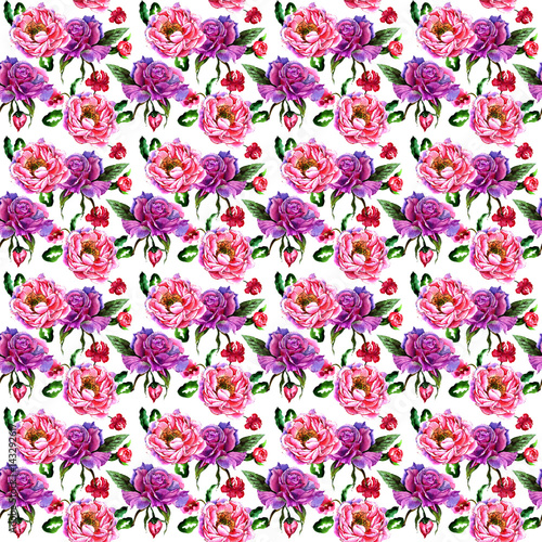 Wildflower peony flower pattern in a watercolor style isolated.