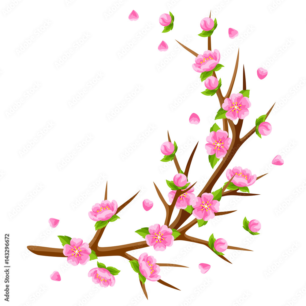 Spring branch of tree and sakura flowers. Seasonal illustration