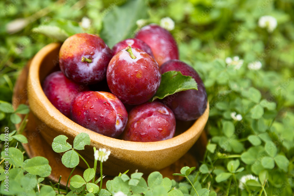Fresh plums in wooden bowl Fresh plums in wooden bowl