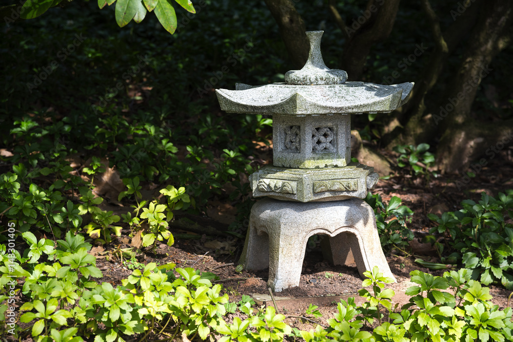 stone lantern in shadow between evergreen ground cover plants pachysandra, garden landscape design in Japan style stone lantern in shadow between evergreen ground cover plants pachysandra, garden landscape design in Japan style