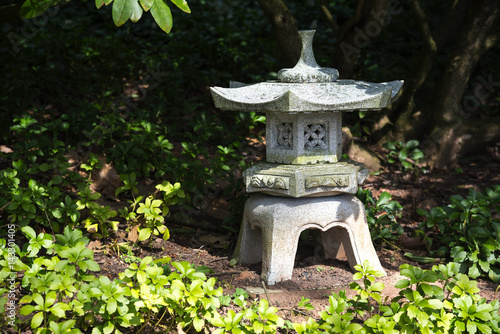 stone lantern in shadow between evergreen ground cover plants pachysandra, garden landscape design in Japan style © Maren Winter