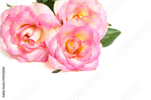 Bouquet of pink roses, Floral background, wallpaper.