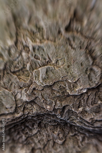 Lensbaby rock closeup