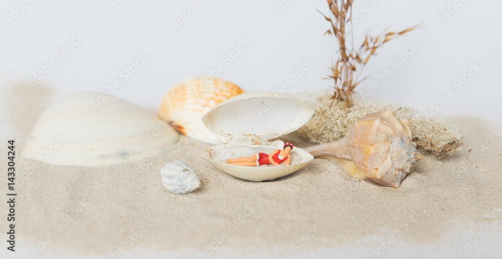 Sonnenbaden in einer Muschel - Miniaturfotografie