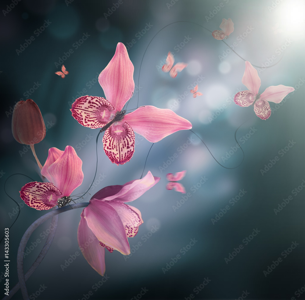 Fototapeta Amazing butterflies from the petals of orchids, floral background. Flowers and insects.