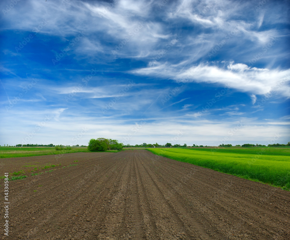 Plowed field in spring time with blue sky Plowed field in spring time with blue sky