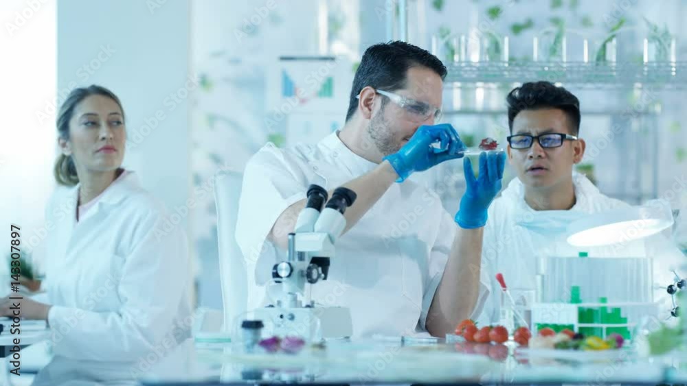 Research scientists analyzing foods in laboratory & discussing work Research scientists analyzing foods in laboratory & discussing work