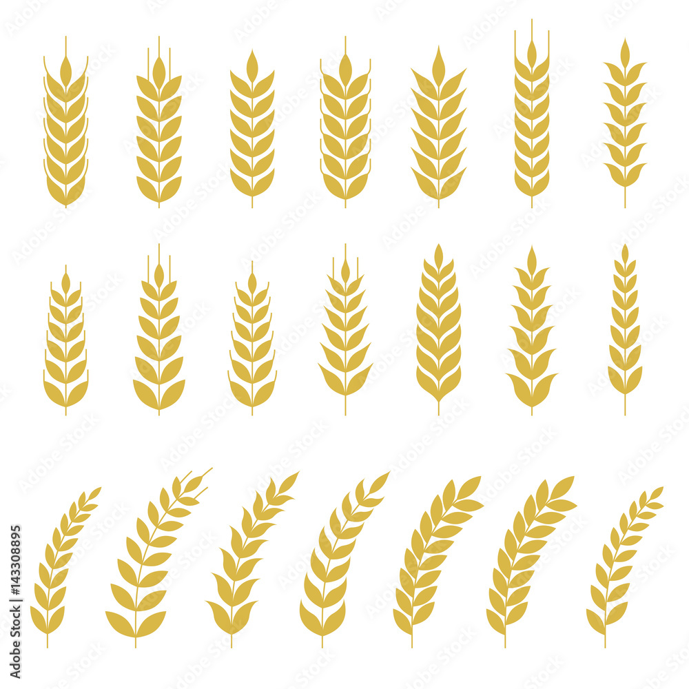 Set of Wheat or barley icon, flat design vector Set of Wheat or barley icon, flat design vector