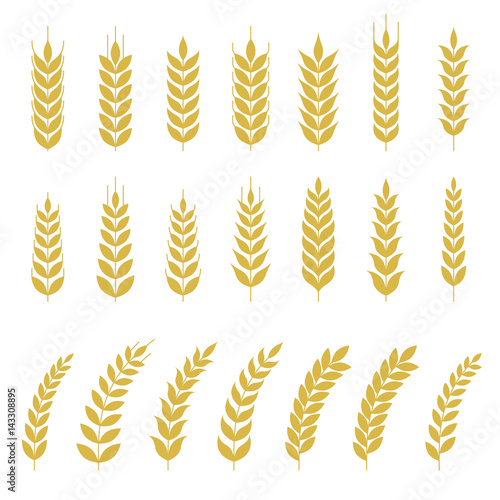Set of Wheat or barley icon, flat design vector