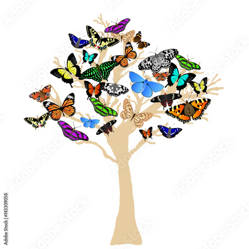 Butterfly Tree Silhouette