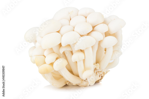 White beech mushrooms, Shimeji mushroom, Edible mushroom isolated on white background