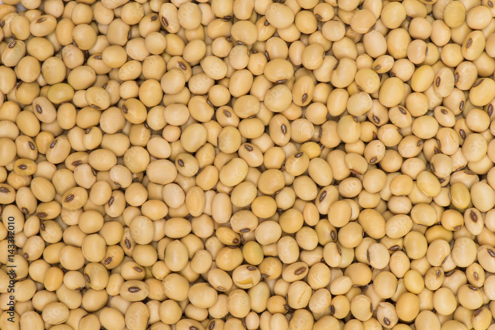 Soybean background Soybean background