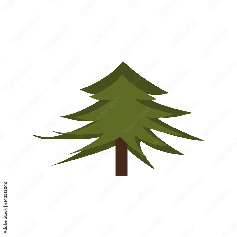 Obraz premium pine tree isolated icon vector illustration design