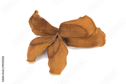 dry plumeria isolated on white background photo