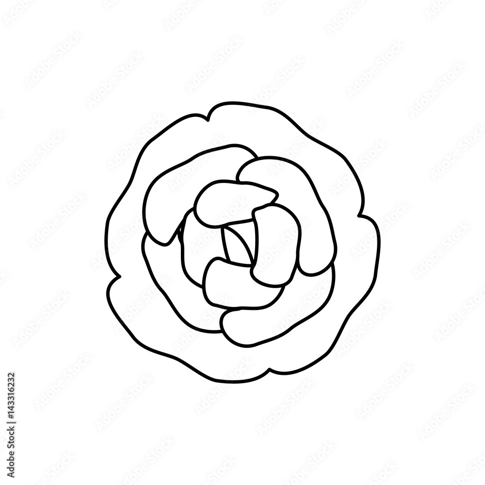 cute flower decorative icon vector illustration design cute flower decorative icon vector illustration design