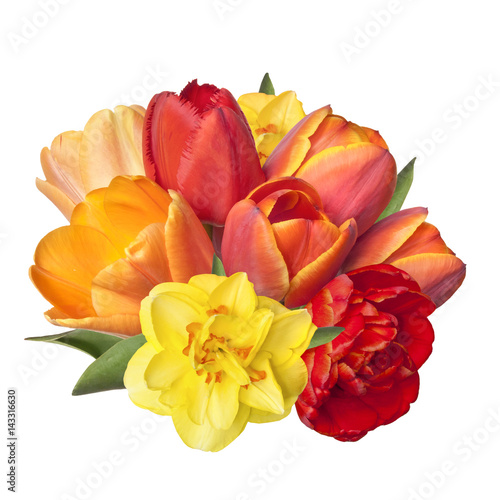 a bouquet of bright spring tulips and daffodil flowers