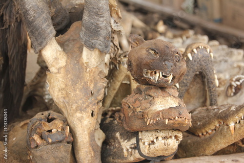 Animal´s Skulls and Voodoo paraphernalia, Akodessawa Fetish Market, Lomé, Togo / This market is located in Lomé, the capital of Togo in West Africa and is is largest voodoo market in the world. 