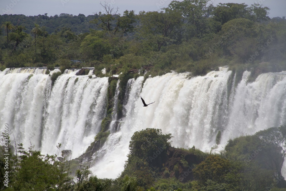 Water Falls, Iguazu, Misiones, Argentina 