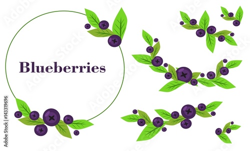 Set of blueberries on a white background with space for your entry