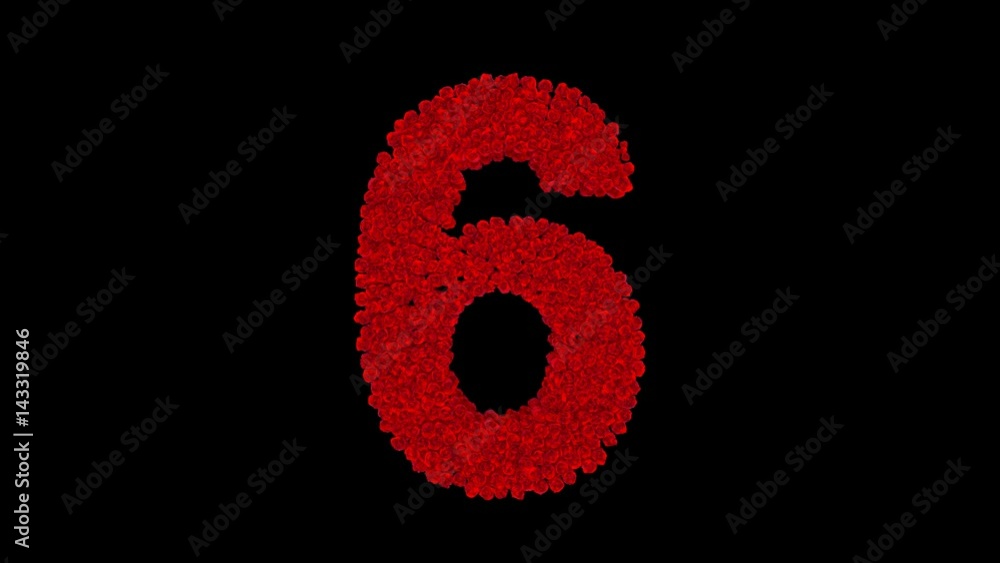 Number 6 made of red roses with alpha channel Number 6 made of red roses with alpha channel