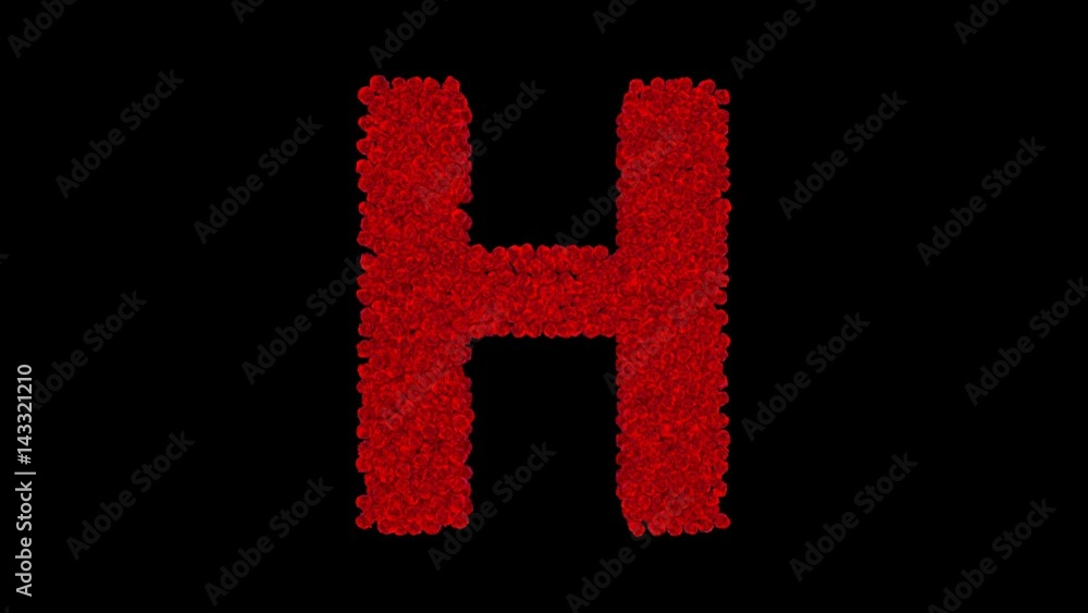 Letter H made of red roses with alpha channel Letter H made of red roses with alpha channel