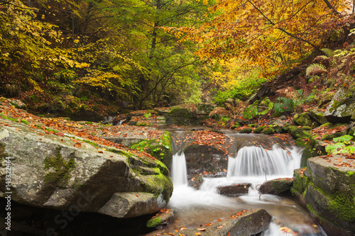 Picturesque scene of autumn forest with a stream