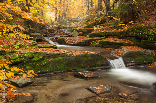 Picturesque scene of autumn forest with a stream