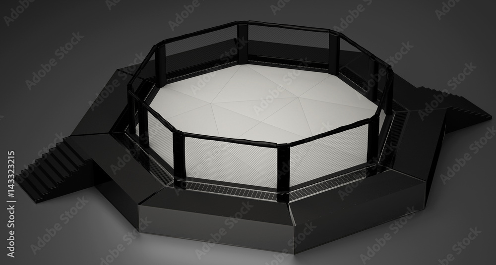 Ilustrace „Oktagon UFC Bellator Ring MMA pugliato arti marziali miste“ ze  služby Stock | Adobe Stock