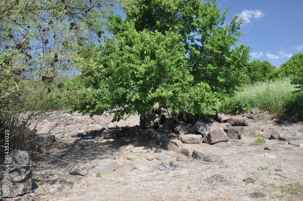 Tilmen - an archaeological site in Turkey