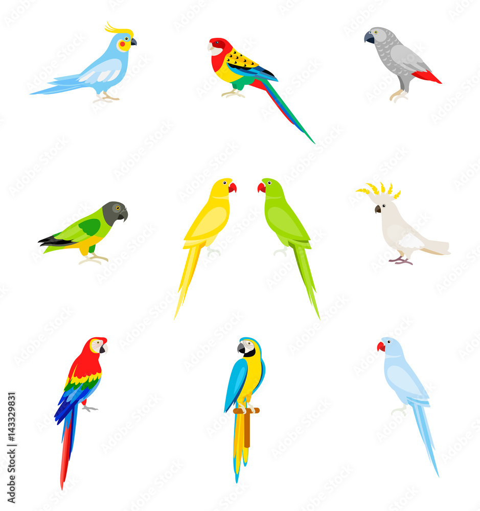 Naklejka premium A set of parrots in a flat style.