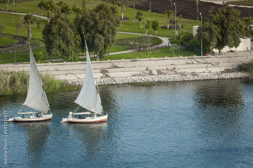 Feluccas sailing on the Nile near Aswan, Egypt Feluccas sailing on the Nile near Aswan, Egypt
