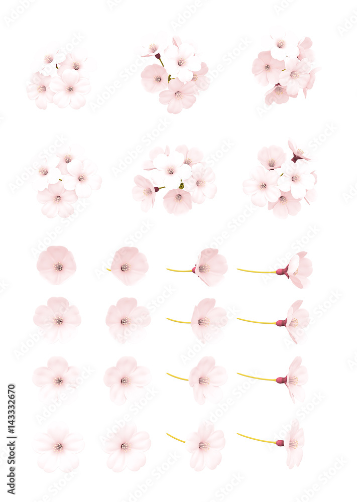 Obraz premium 桜の花 パーツ 3Dイラスト