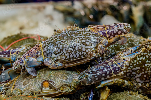 Fresh sea crabs are sold in local markets in Thailand.