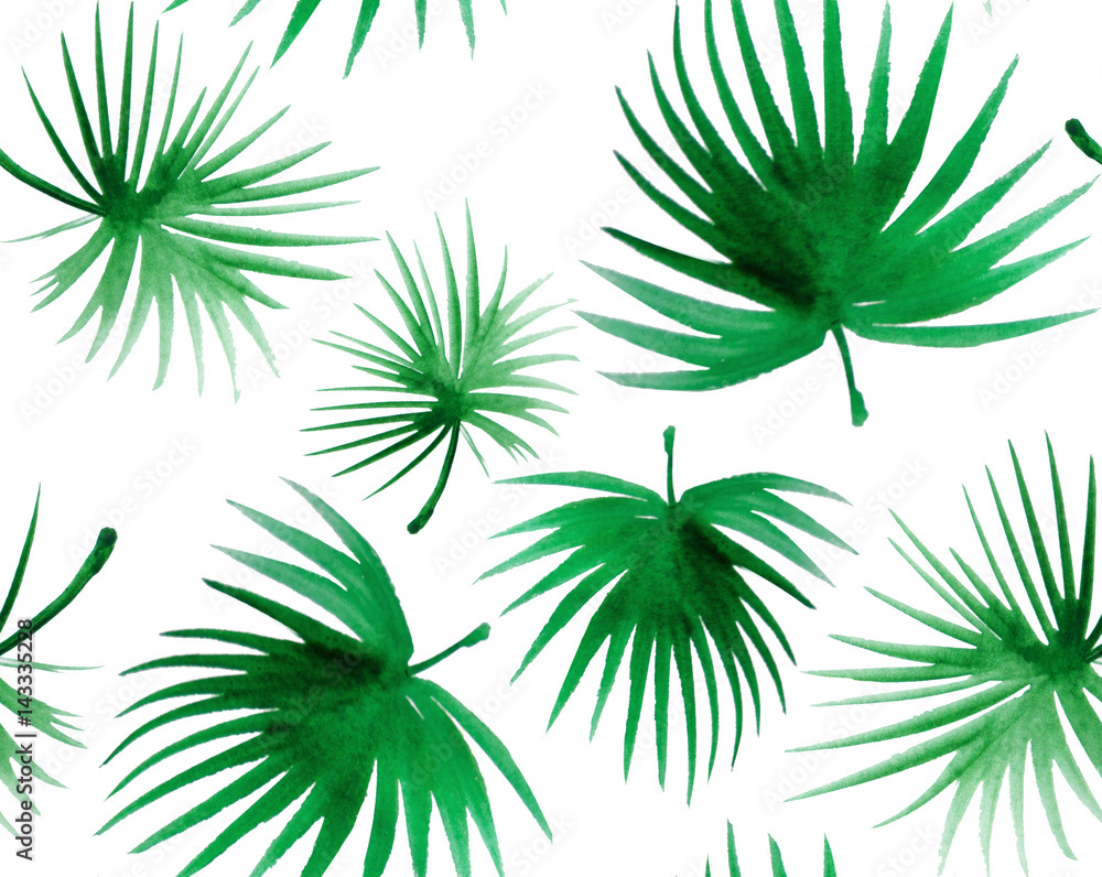 palm leaves green