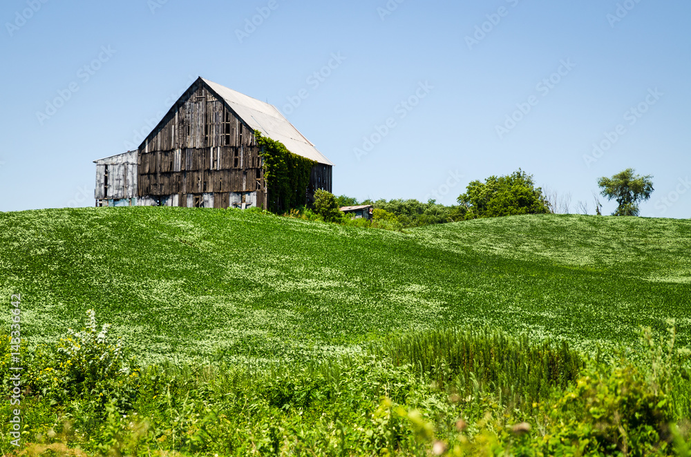 Barn in field Barn in field