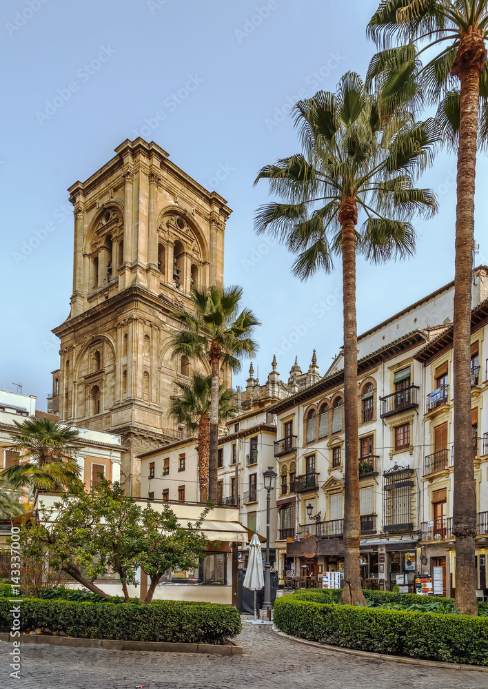 Cityscape with cathedral tower, Granada, Spain