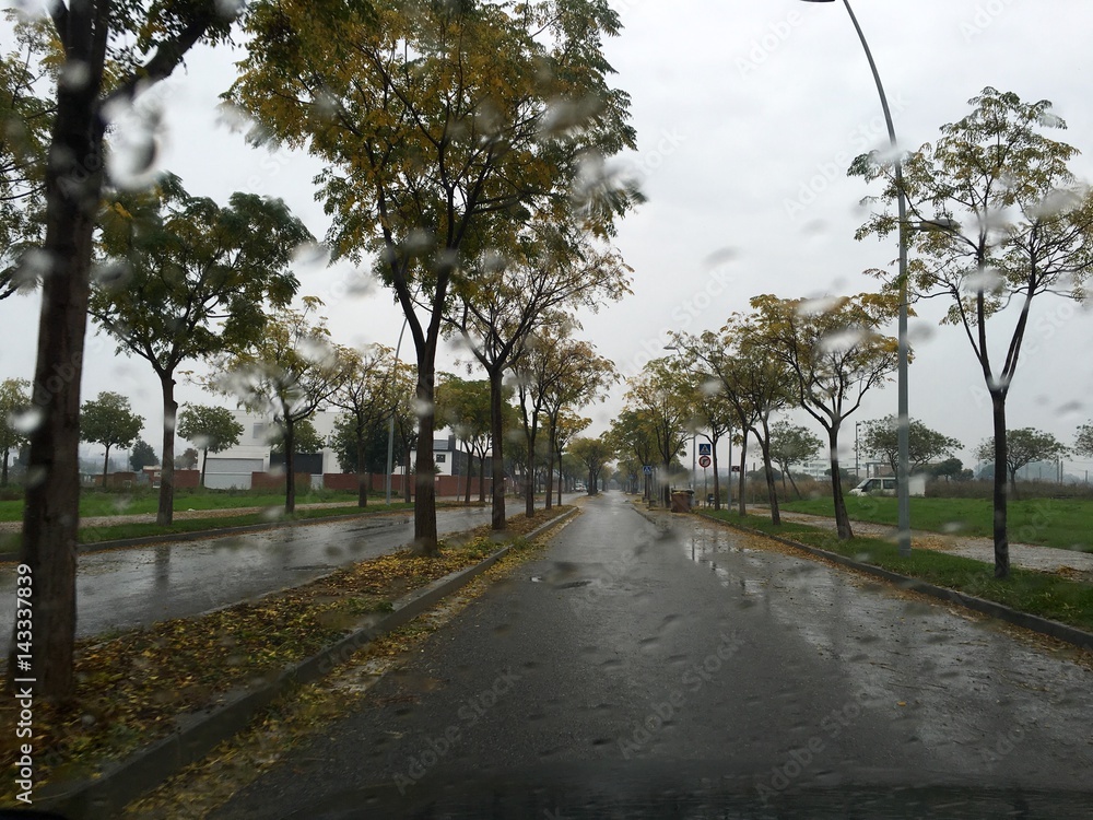 Fototapeta premium RainyDay2