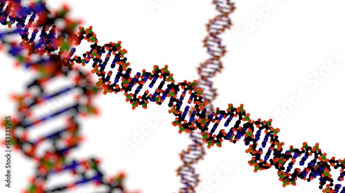 Canvastavla CRISPR CAS 9 Clustered regularly inter spaced short palindromic repeats