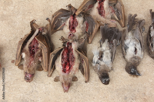 Voodoo Preparation of Bat, Akodessawa Fetish Market, Lomé, Togo / This market is located in Lomé, the capital of Togo in West Africa and is is largest voodoo market in the world.  photo