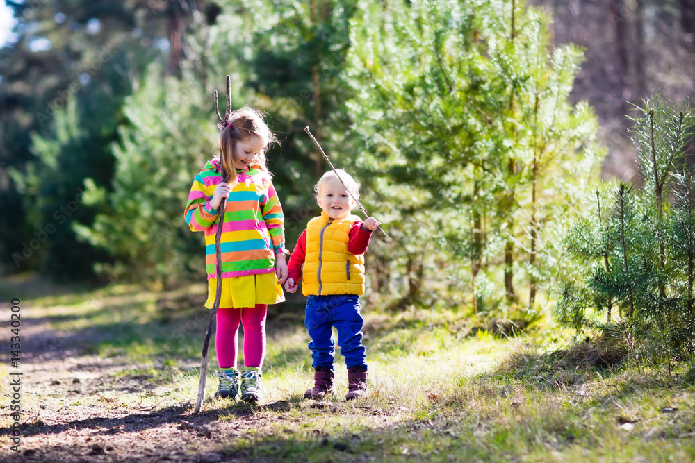 Kids hiking in autumn forest Kids hiking in autumn forest