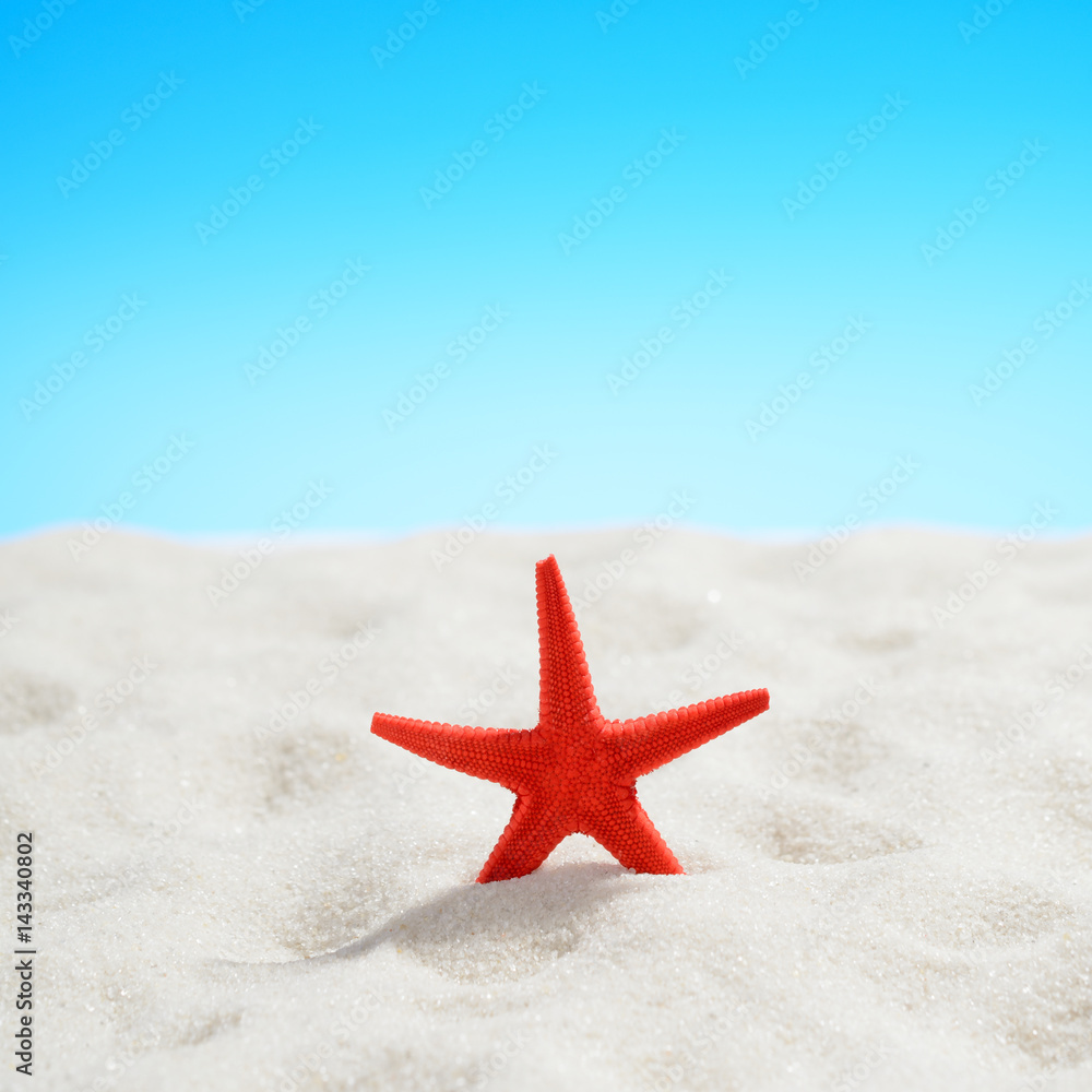 Red starfish on the beach on background of blue sky Red starfish on the beach on background of blue sky