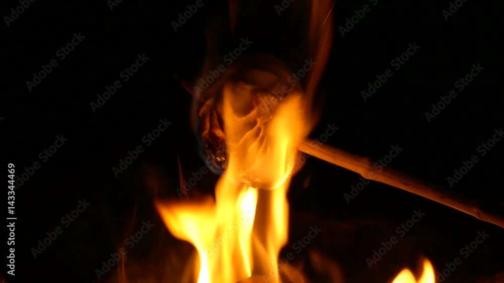 Slow motion. Roasted marshmallow on fire outdoors. Slow motion. Roasted marshmallow on fire outdoors.
