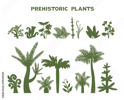 Set of prehistoric plants.