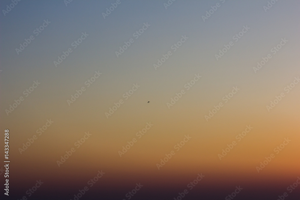 Beautiful view with an ocean in sunset and bird fly in blue sky