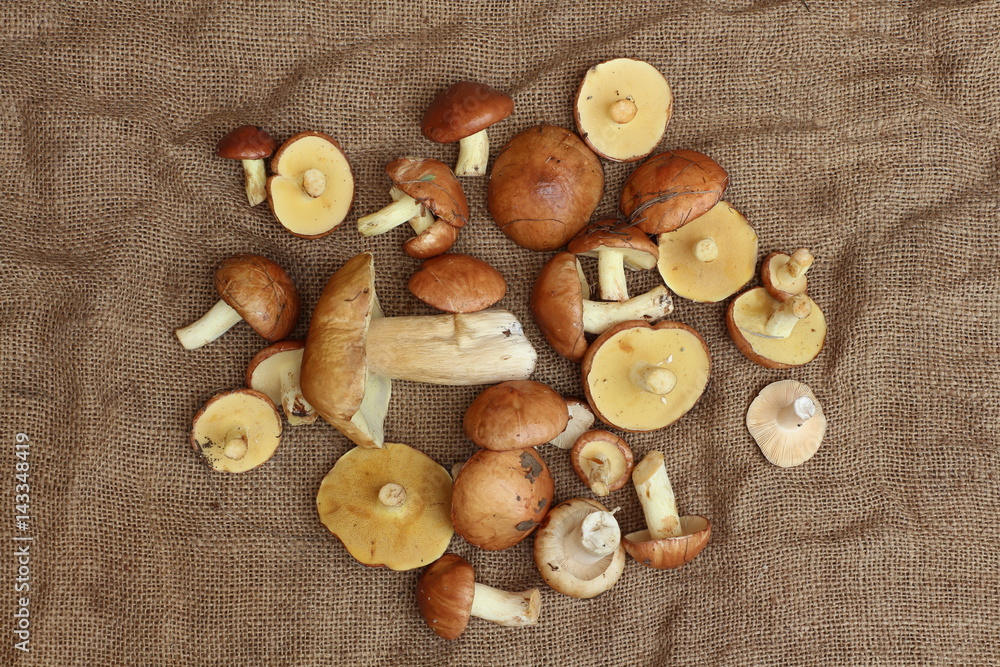 A heap of edible mushrooms (Suillus granulatus, white mushroom ) on the bast mat ( crumpled bagging ). The top view. A heap of edible mushrooms (Suillus granulatus, white mushroom ) on the bast mat ( crumpled bagging ). The top view.