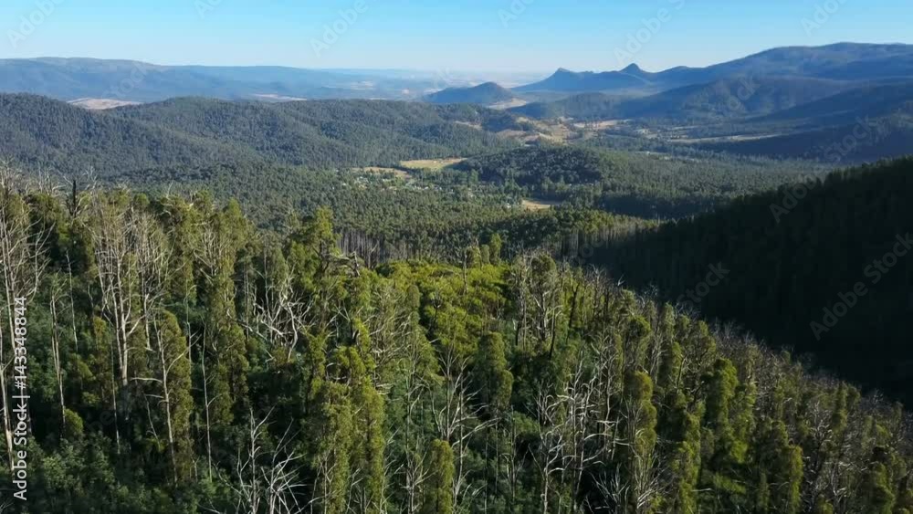 Aerial video of flying over a forest in Marysville, Australia Aerial video of flying over a forest in Marysville, Australia