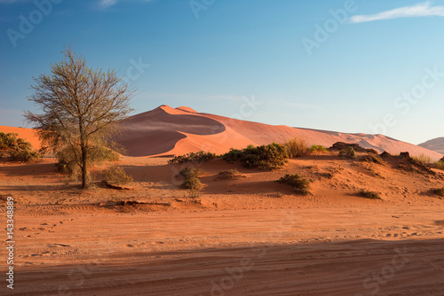 Sand dunes in the Namib desert at dawn  roadtrip in the wonderful Namib Naukluft National Park  travel destination in Namibia  Africa. Morning light  mist and fog.