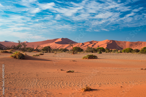 Sand dunes in the Namib desert at dawn  roadtrip in the wonderful Namib Naukluft National Park  travel destination in Namibia  Africa. Morning light  mist and fog.